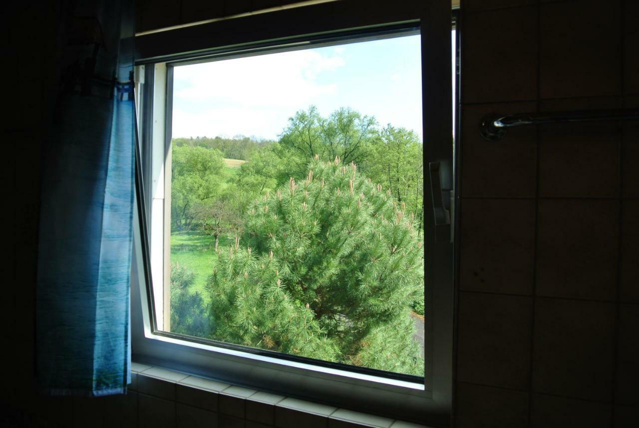 Ferienwohnung Zur Muehle Sotzweiler Luaran gambar