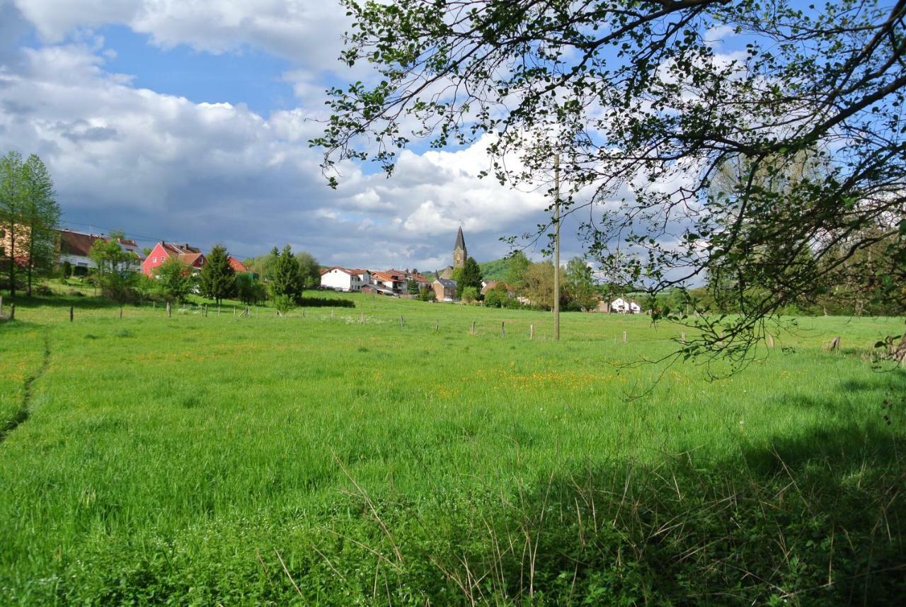 Ferienwohnung Zur Muehle Sotzweiler Luaran gambar