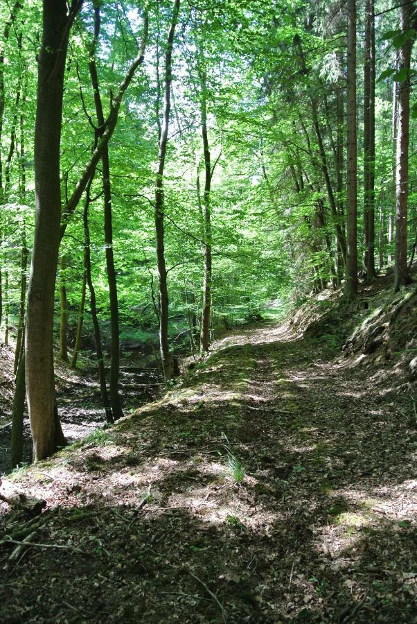 Ferienwohnung Zur Muehle Sotzweiler Luaran gambar